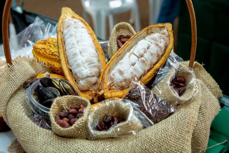 AGRONEGÓCIOGoverno lança edital para credenciar empresas de Rondônia interessadas em patrocinar prêmios do Concacau e Concafé deste ano