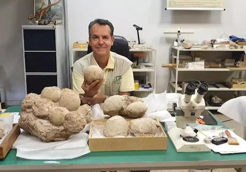 1º ninho de ovos de dinossauro no Brasil é encontrado em MG