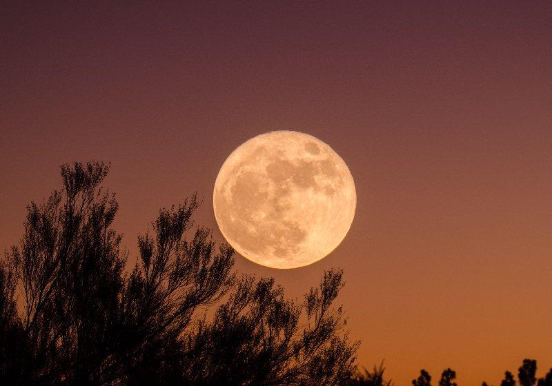 Foi Ontem 11/08, a última superlua do ano aparecerá maior e mais brilhante