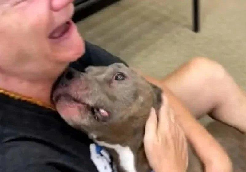 Mulher chora ao reencontrar cão perdido há 8 anos.
