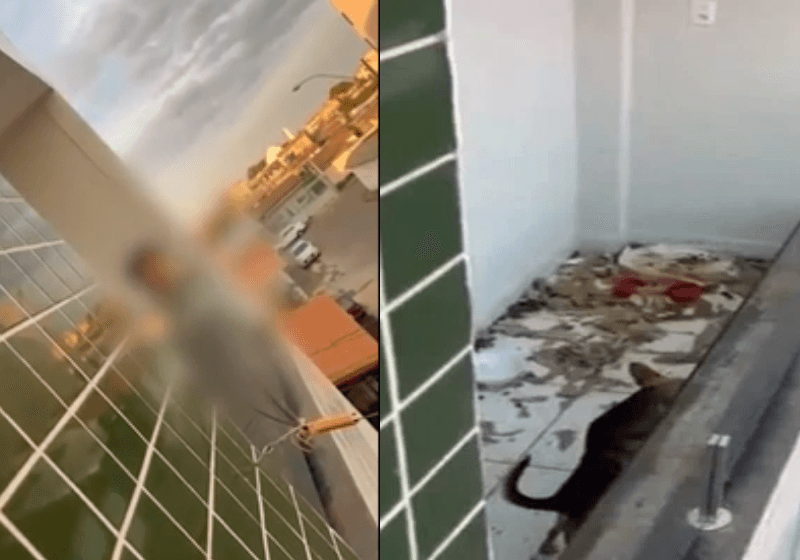 PMs resgatam criança de 6 anos em situação de fome e abandono