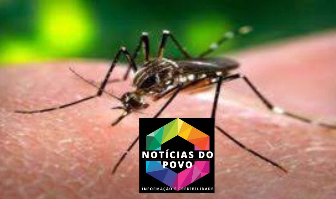 Butantan recruta voluntários para teste de vacina contra Chikungunya