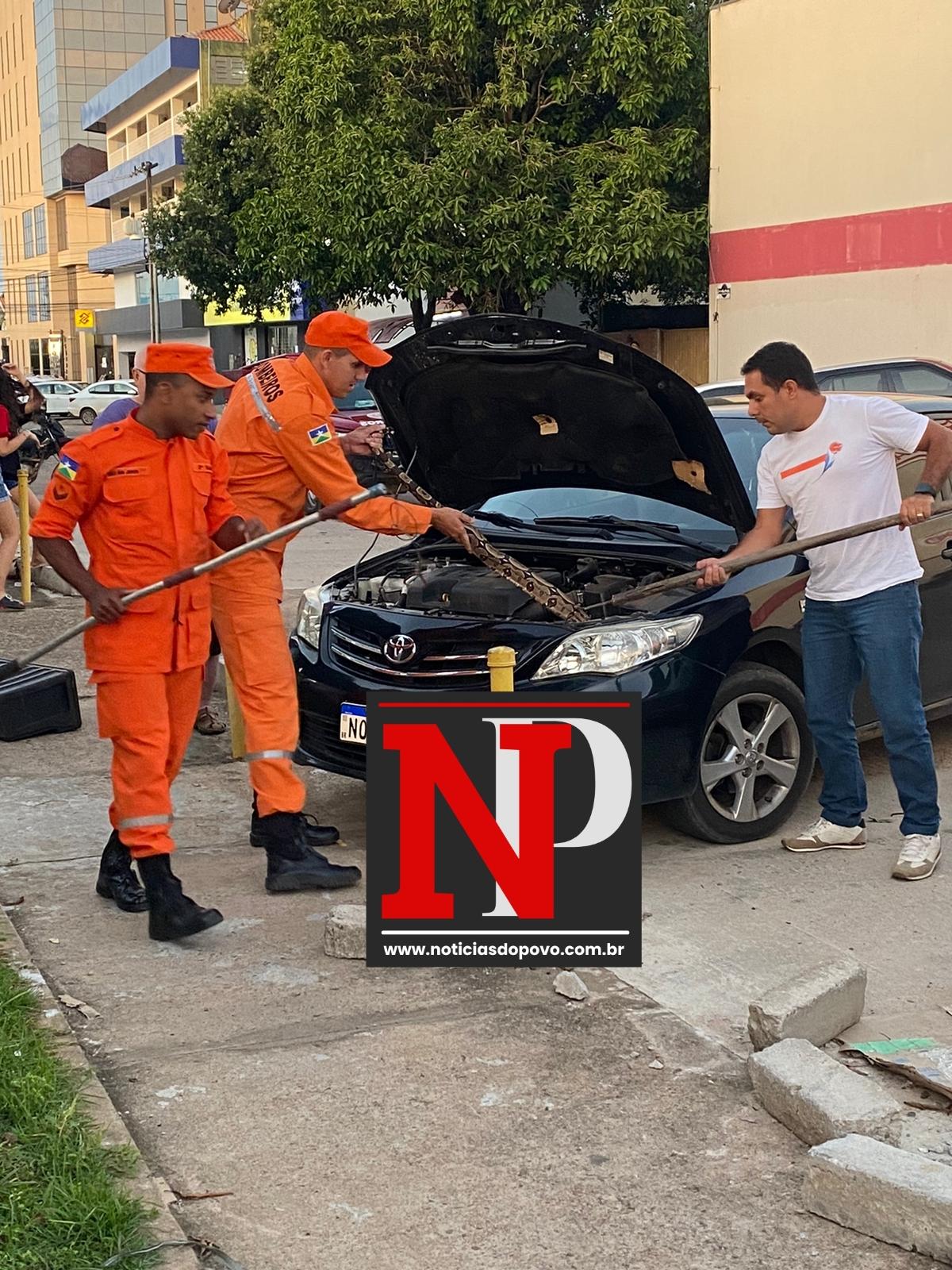 Ji Paraná:Cansada de se rastejar,cobra pega carona em um corrola.