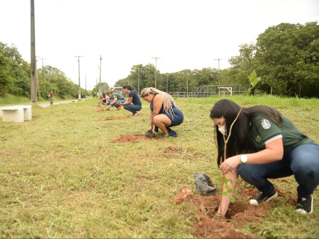 Servidoras da Semeia plantam mais de 40 mudas de ipê amarelo no Parque Ecológico