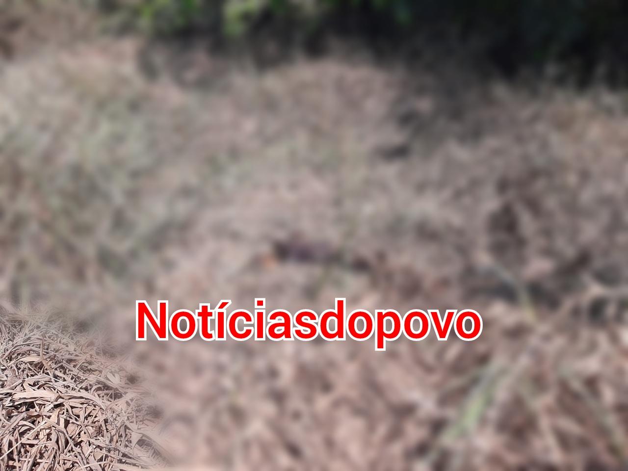 Corpo é encontrado com 3 perfurações na cabeça