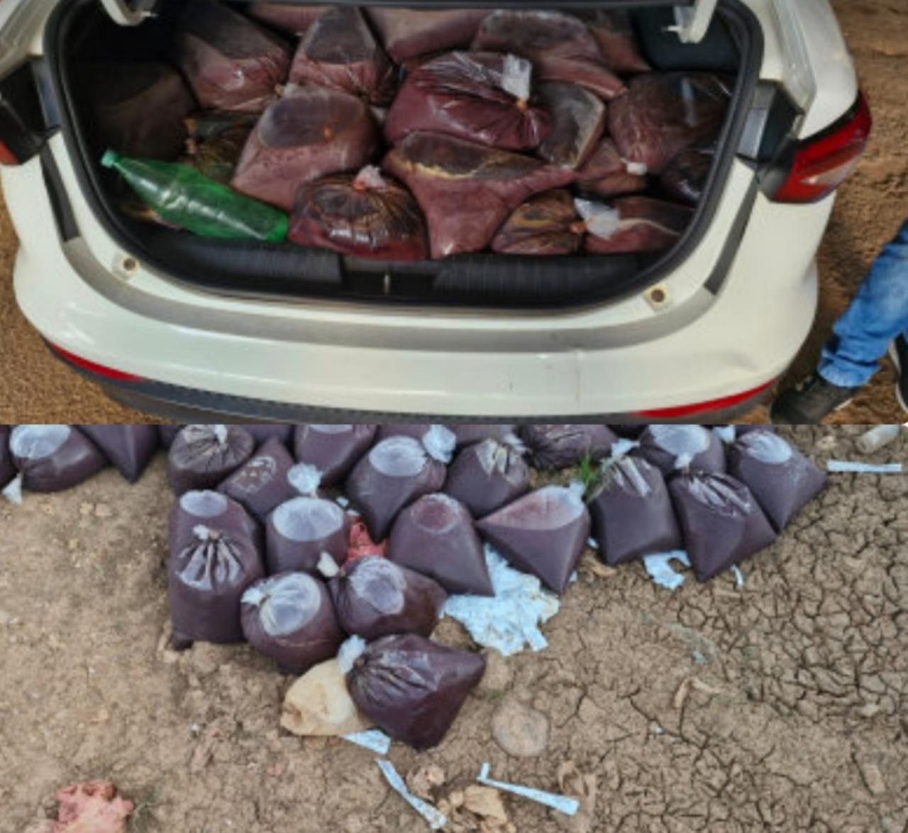 370 KG de açaí irregular