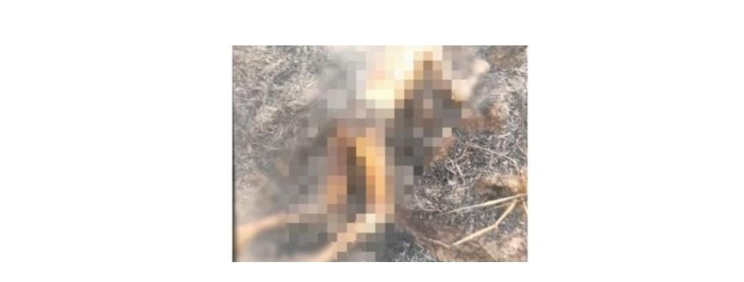 Homem é encontrado morto