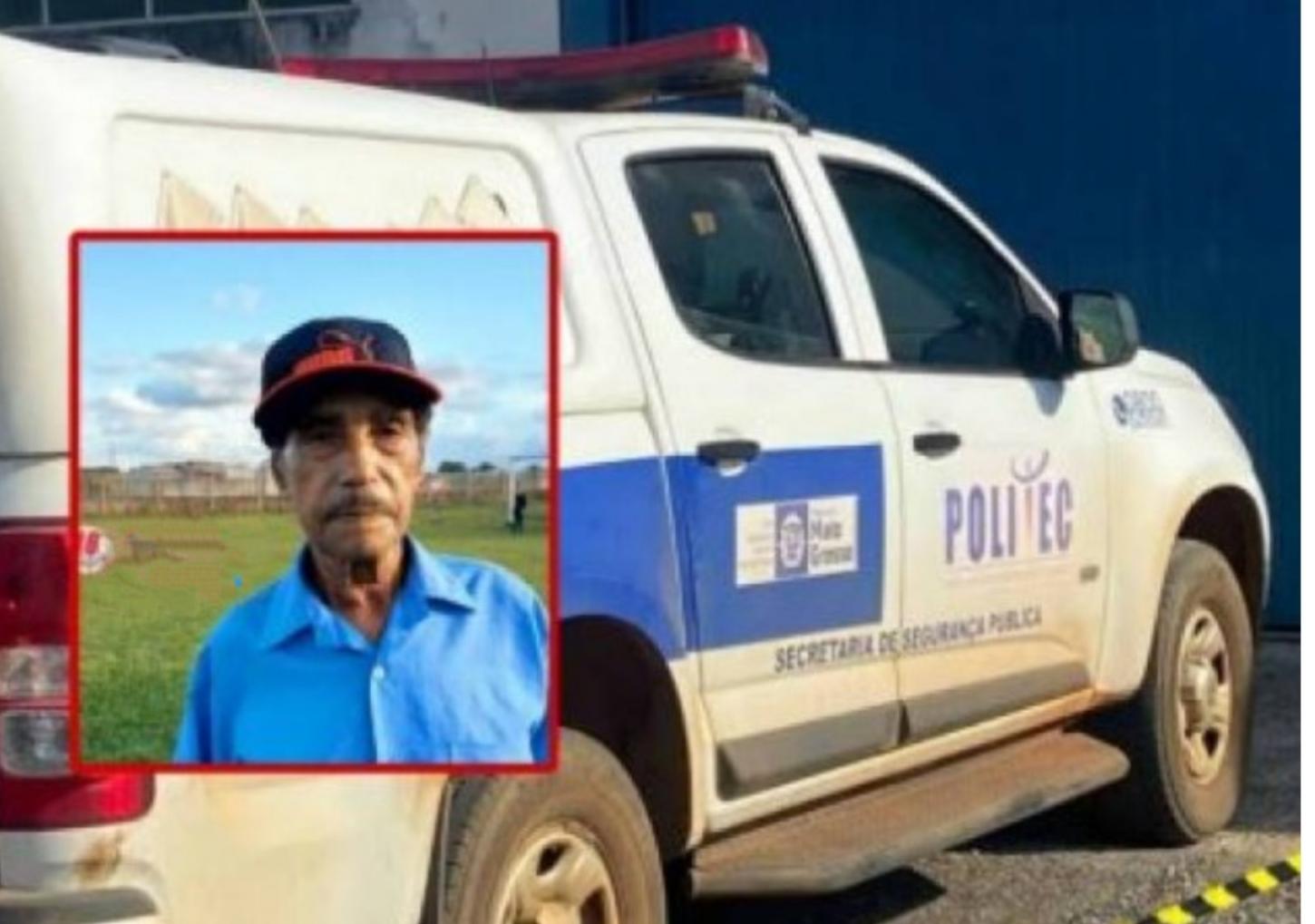 pit bull ataca cavalo,  e dono morre.