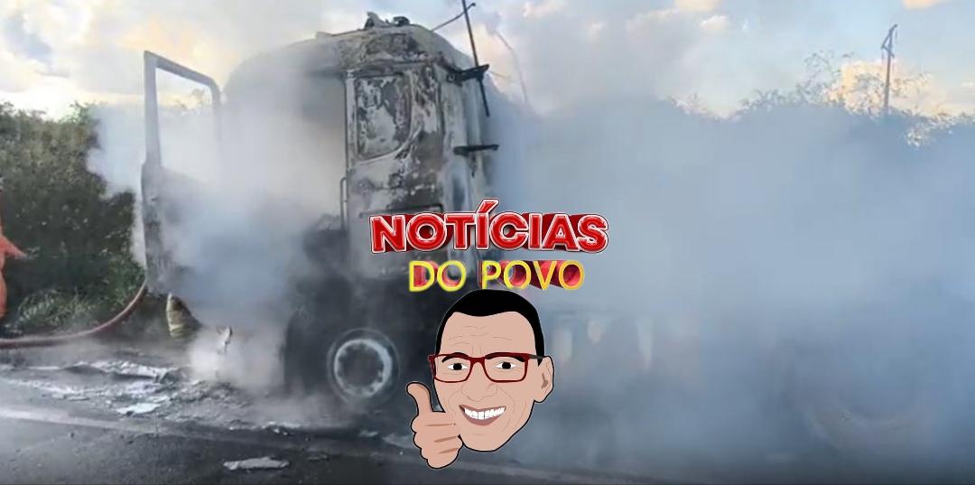 Cavalinho é consumido por incêndio na BR 364