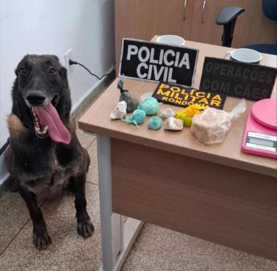 Ação integrada da Polícia civil em Jaru .