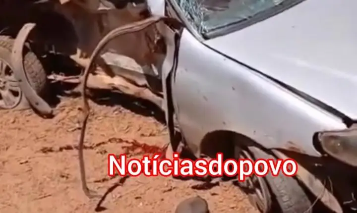 Acidente grave deixa duas vítimas. 