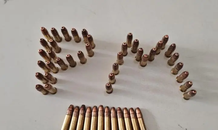 APREENSÃO DE 50 MUNIÇÕES.