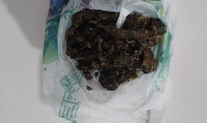  APREENSÃO DE DROGA .