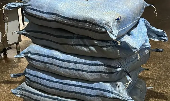 FORÇA-TAREFA APREENDE CERCA DE 180 QUILOS DE SKUN