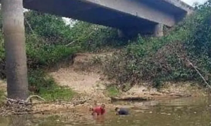 Mistério no Rio.