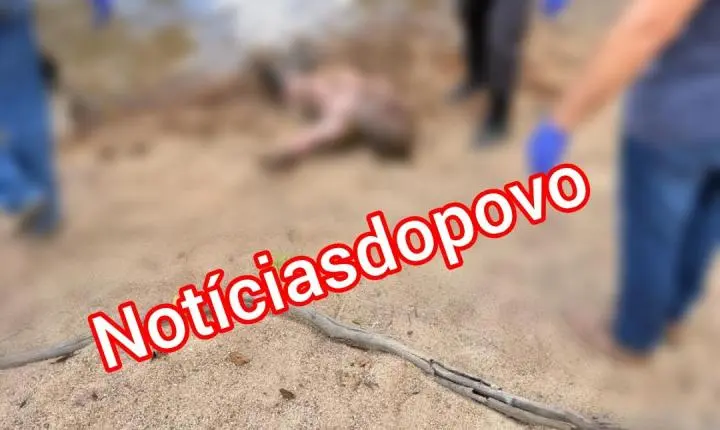 corpo  é encontrado. 