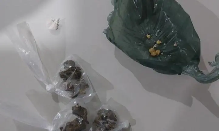 Polícia Militar apreende drogas.